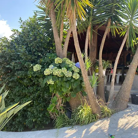 Casa Pinto Douro Country Villa *